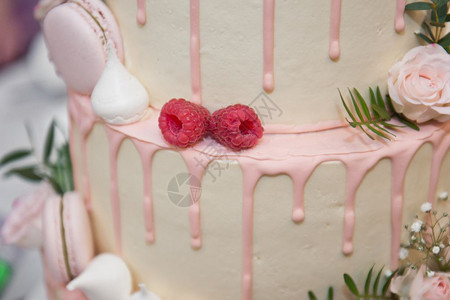 盛装有浆果和贝壳的优美婚礼蛋糕巨大的四层婚礼蛋糕967图片
