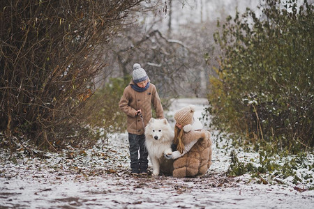 秋季儿童与Samoyed狗983一起散步图片