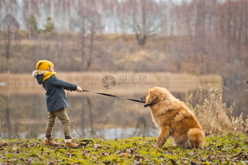 孩子们和你最喜欢的四条腿朋友玩游戏女孩在9817秋天湖玩大警犬图片