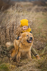 小女孩爬上一条大绵狗爬上他伟大的看门狗976图片