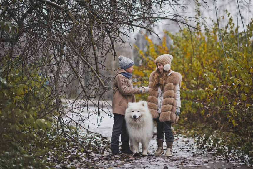 女孩和男与狗种Samoyed983一起散步图片