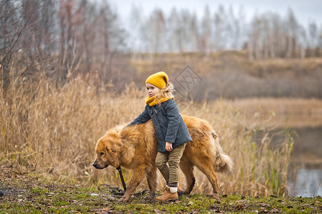在湖边走着一只大狗的小孩行走背景图片