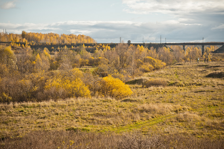 树林灌木上的秋色美丽天景色841图片