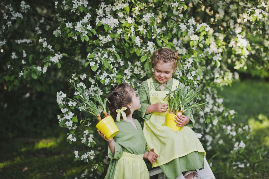 在春花园玩的女佣旧装扮中女友穿着单身衣的孩子们在樱桃果园里玩8295图片
