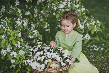 这孩子坐在一篮花旁长着个女孩的肖像在一个春天花园8317图片