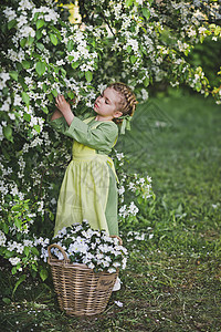 花园里的小姑娘孩是樱花8325背景图片
