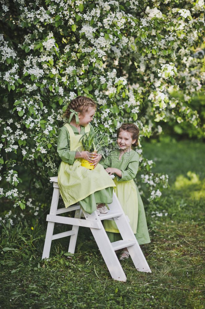 两个年轻伴娘穿着绿色裙子在花园里玩8301图片
