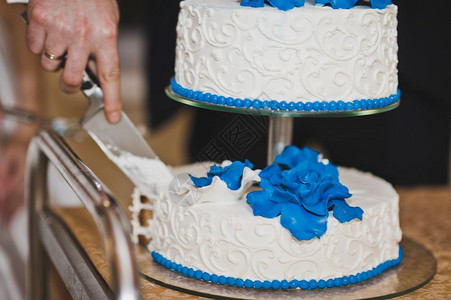 一大块蛋糕上面有奶油7923的蓝花图片