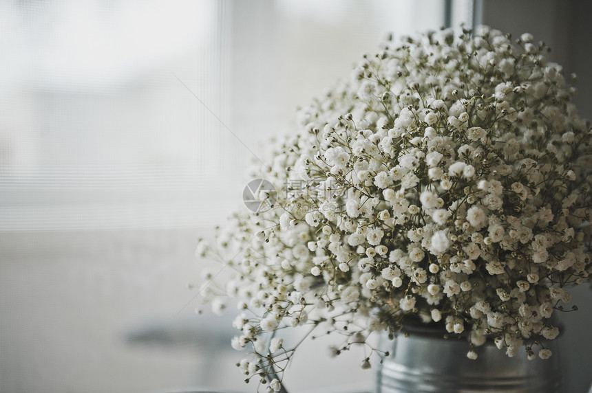 一束花作为餐桌装饰白花球束74图片