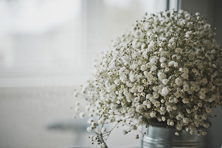一束花作为餐桌装饰白花球束74图片