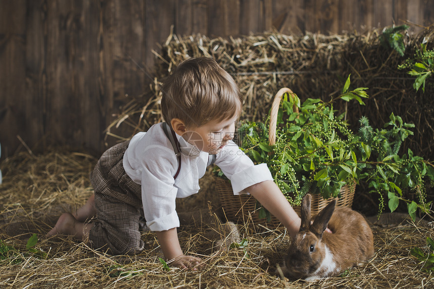 与动物玩耍的儿童与兔子合影6059图片
