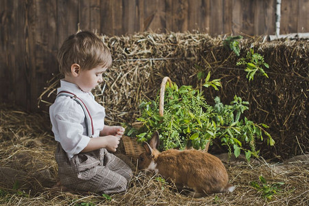 孩子拍着红毛兔子一个穿着白衬衫裤子和吊带的孩子的肖像6060图片