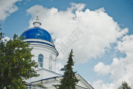教堂在树丛中的蓝色圆顶428图片