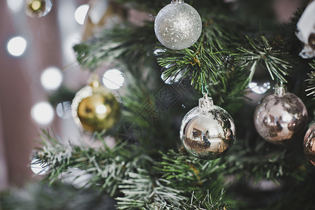 照片圣诞树有球星冬日装饰品459图片