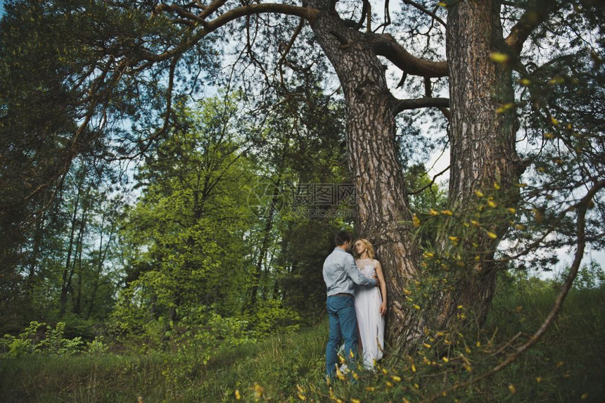 新婚夫妇在树林里大约一棵树317图片