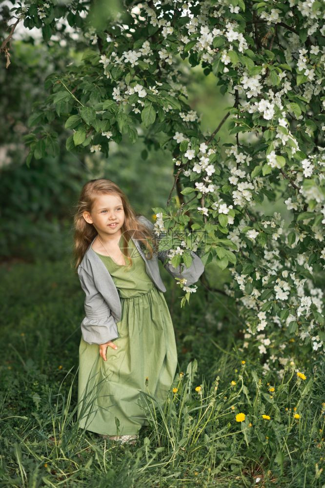 春时一个小女孩在开花树上的肖像这个孩子站在一鲜花樱桃Bush180旁边图片