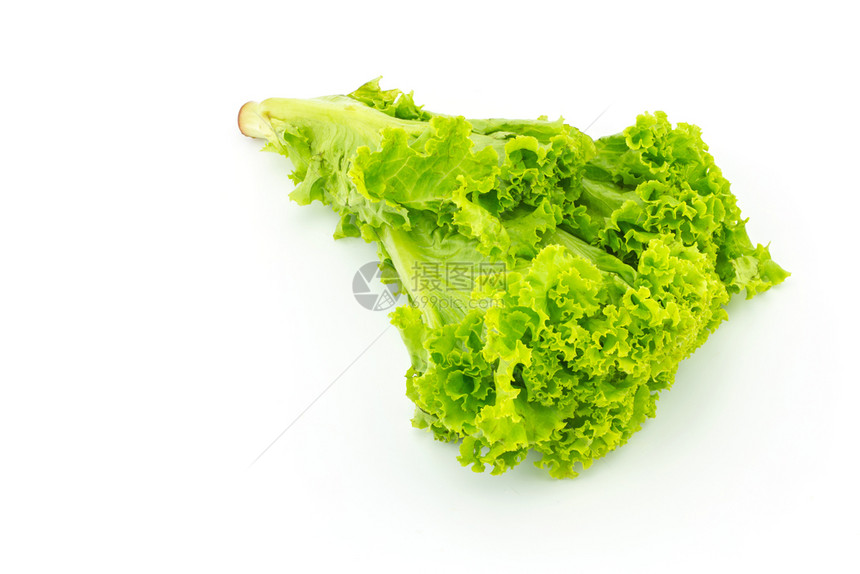 白色背景上孤立的新鲜绿色生菜图片
