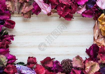 木本的鲜花框架背景图片