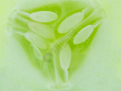 黄瓜背景的纹理图片