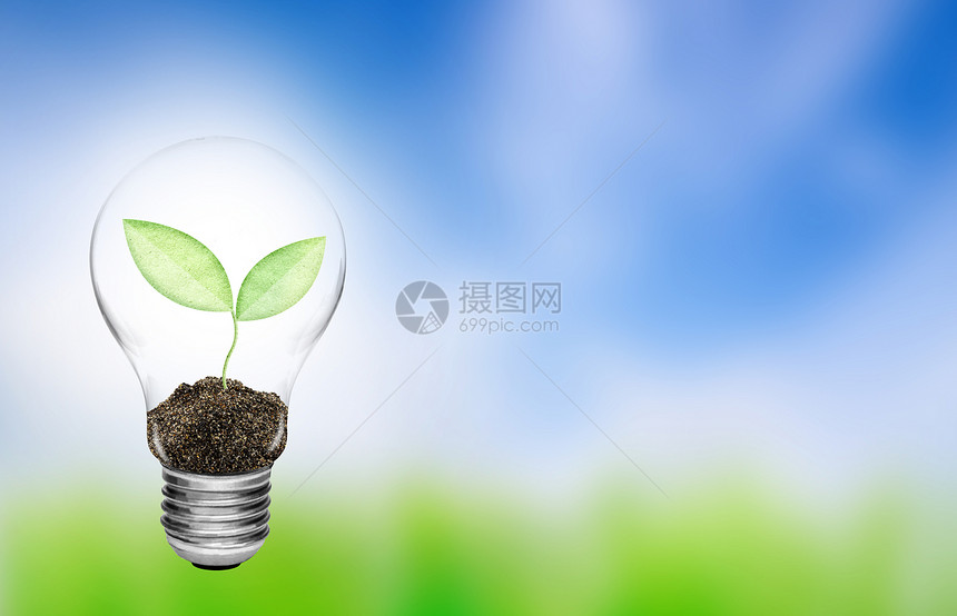 自然背景中生长植物的灯泡图片