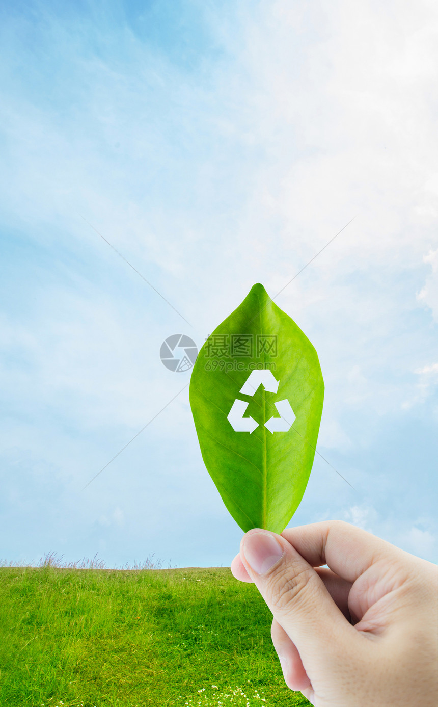 新鲜绿叶在自然背景上带有再循环符号图片