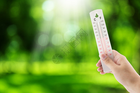 在野外温度计上测量的热带温度在自然背景上握手环境概念图片