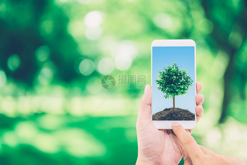 手持机的人屏幕上有土壤和树环境概念图片
