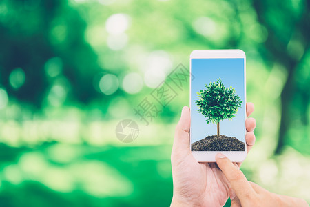 手持机的人屏幕上有土壤和树环境概念背景图片