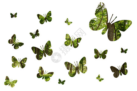 许多美丽的双影蝴蝶森林绿色背景孤立在白色环境概念上背景图片