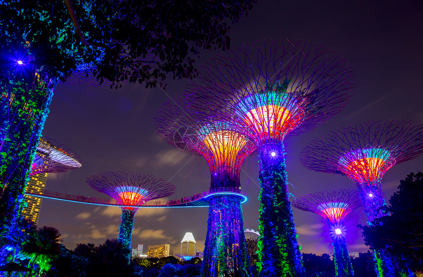 SINGAPORE2017年8月6日在海湾边的花园里有超级树像一样的结构配备了模仿树木生态功能的环境技术图片