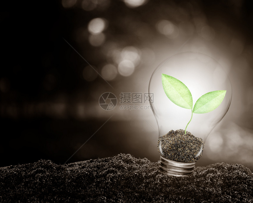 在土壤生态学上长植物的灯泡保护环境的概念图片