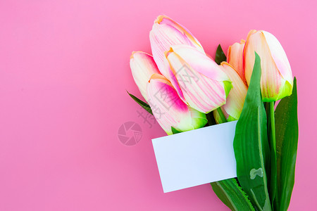 黄色郁金香花和卡片的美丽粉红色背景的贴纸和标签顶层视野复制空间母亲节和假期概念背景图片