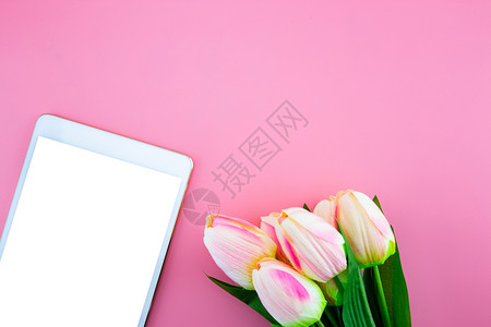 黄色郁金香花和平板的美丽粉红色背景顶层视野复制空间母亲节和日概念上都是平地背景图片