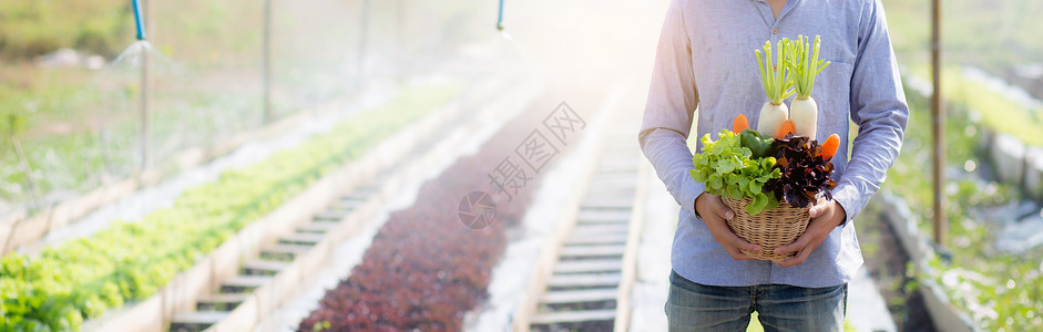 在水栽培农场业种植健康食品和商业概念的标语网站上图片