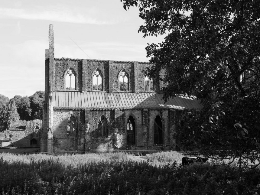 英国丁特尔的废墟黑白两色丁特尔修道院巴蒂廷迪恩黑白丁特尔图片