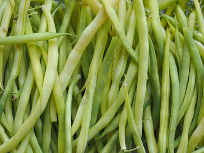 绿豆豆科蔬菜蔬菜素食绿豆豆科蔬菜食品图片