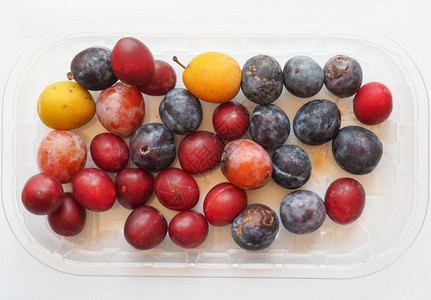 李子Prunusdomestica又名欧洲李子水果素食梅干水果食品图片