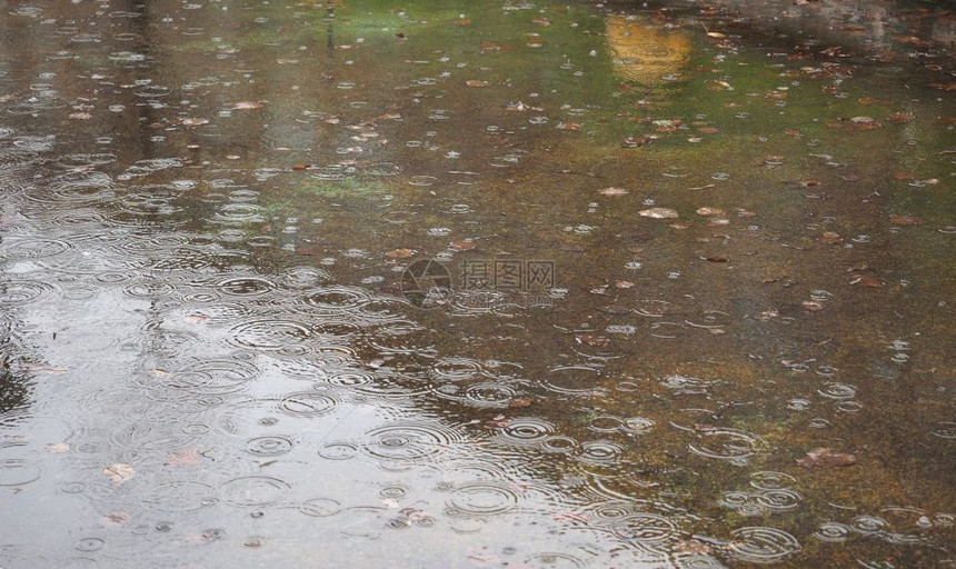 水在一滩雨水中循环用作背景雨水坑背景图片