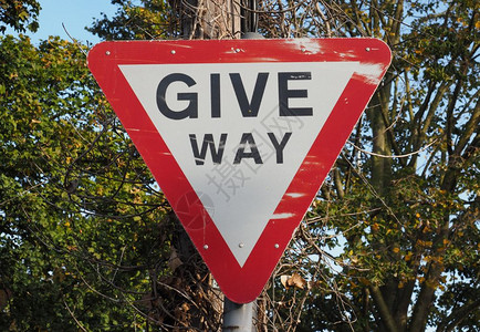 交规标志规管标志让路交通标志在树上让路标志在树上让路标志背景