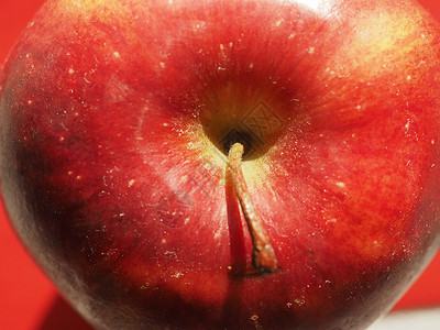 红苹果Maluscommaa水果素食品红苹果水食品图片