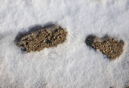 一个人在雪中行走留下的脚印雪中图片