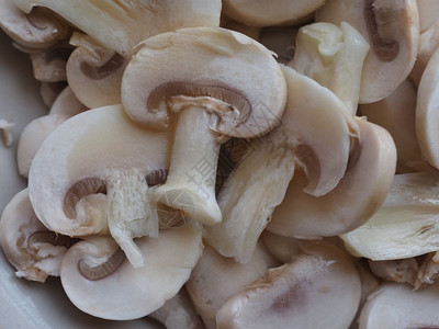 蘑菇食物作为本底的有用食物图片