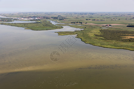 弗莱斯兰在Friesland的荷兰Makkum村空中观察位于IJsselmeer湖水浅Swans正在水中游泳背景