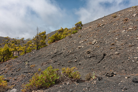 加那利群岛LaPalma火山灰埋在LaPalma火山灰中LaPalma火山灰中背景图片