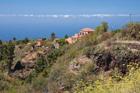西班牙加那利群岛拉帕尔马沿岸的房屋图片