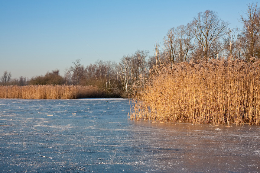 荷兰冰冻湿地用作滑冰天堂图片