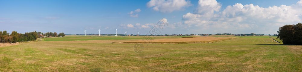 无尽的荷兰草地大全景图片