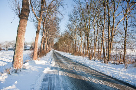 荷兰冬季农田中的滑道路图片