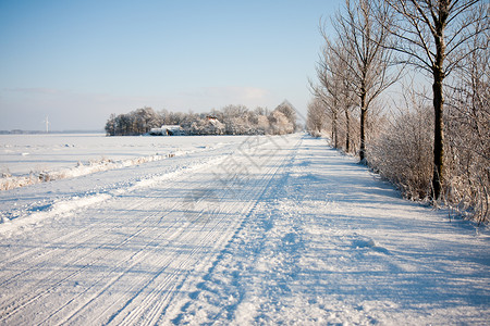 冬季下雪覆盖的荷兰农田图片
