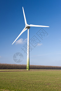 荷兰草原的大风涡轮图片